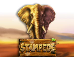 stampede